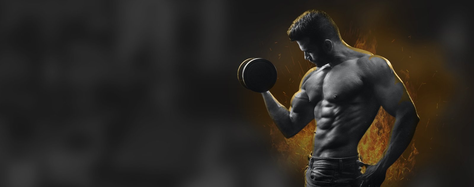 Transform Your Body, Transform Your Life